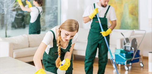 House Cleaning Image